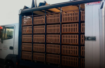 TRANSPORT AUS DE CORRAL