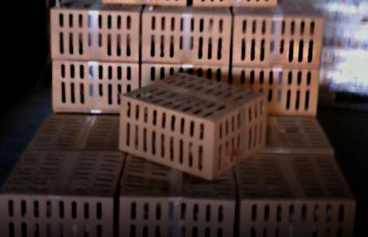 TRANSPORT AUS DE CORRAL CATALUNYA